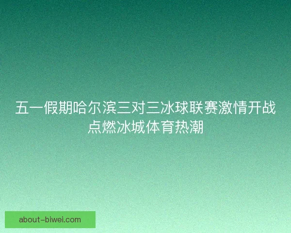 五一假期哈尔滨三对三冰球联赛激情开战点燃冰城体育热潮